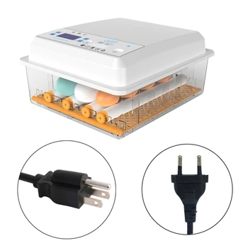 

Professional 6 Eggs Incubator Automatic Hatchery Machine Digital Display Birds Brooder Thermostat Breeding Hatching Chicken Duck