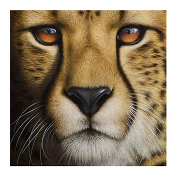 

Needlework,DMC DIY cross-stitch,leopard animal Full embroidery kits, patterns chinese cross stitch printed on canva