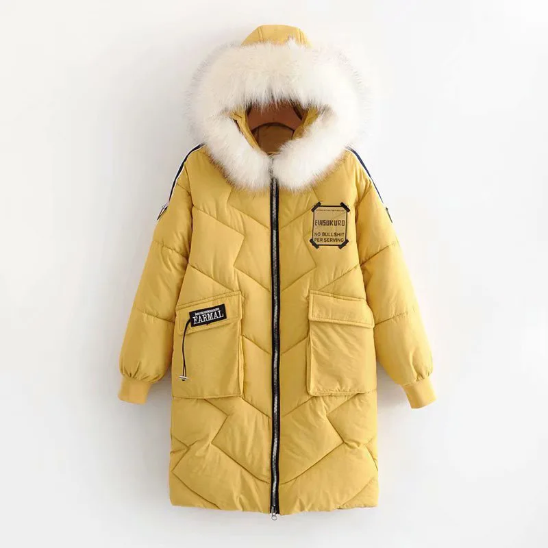 

Korean-style WOMEN'S Wear 2019 Winter New Style Fur Collar Lettered Embroidered Applique Hooded Cotton Overcoat Women's