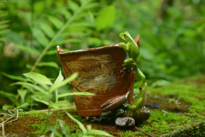 Everyday Collection Originality frog resin flowerpot Fairy Garden succulents plants pot Desk Office Decoration