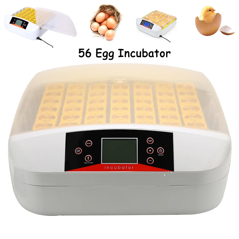 

56 Eggs Incubator A All-In-One Intelligent Full-automatic Hatcher Hatching Machine For Chicken Duck Transparent LED Display