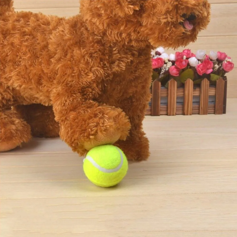 Собака Щенок теннисные мячи игрушки спортивный турнир Открытый весело крикет пляж собака высокое качество желтый мяч игрушка