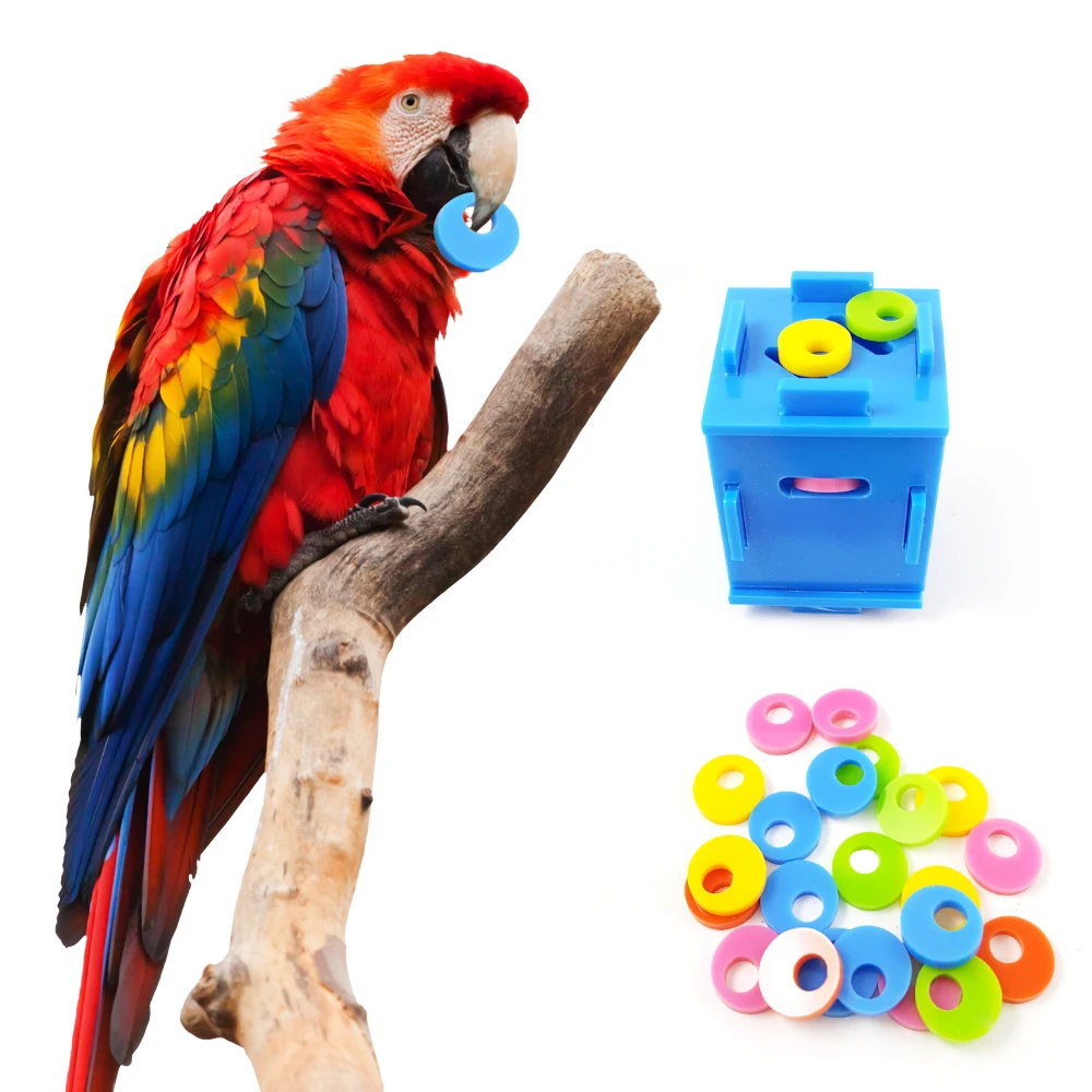 Длиннохвостый попугай Попугайчик развивающие игрушки птицы Попугай головоломка игрушка Монета коробка Домашние животные обучение, игры игрушки для птиц товары для домашних животных