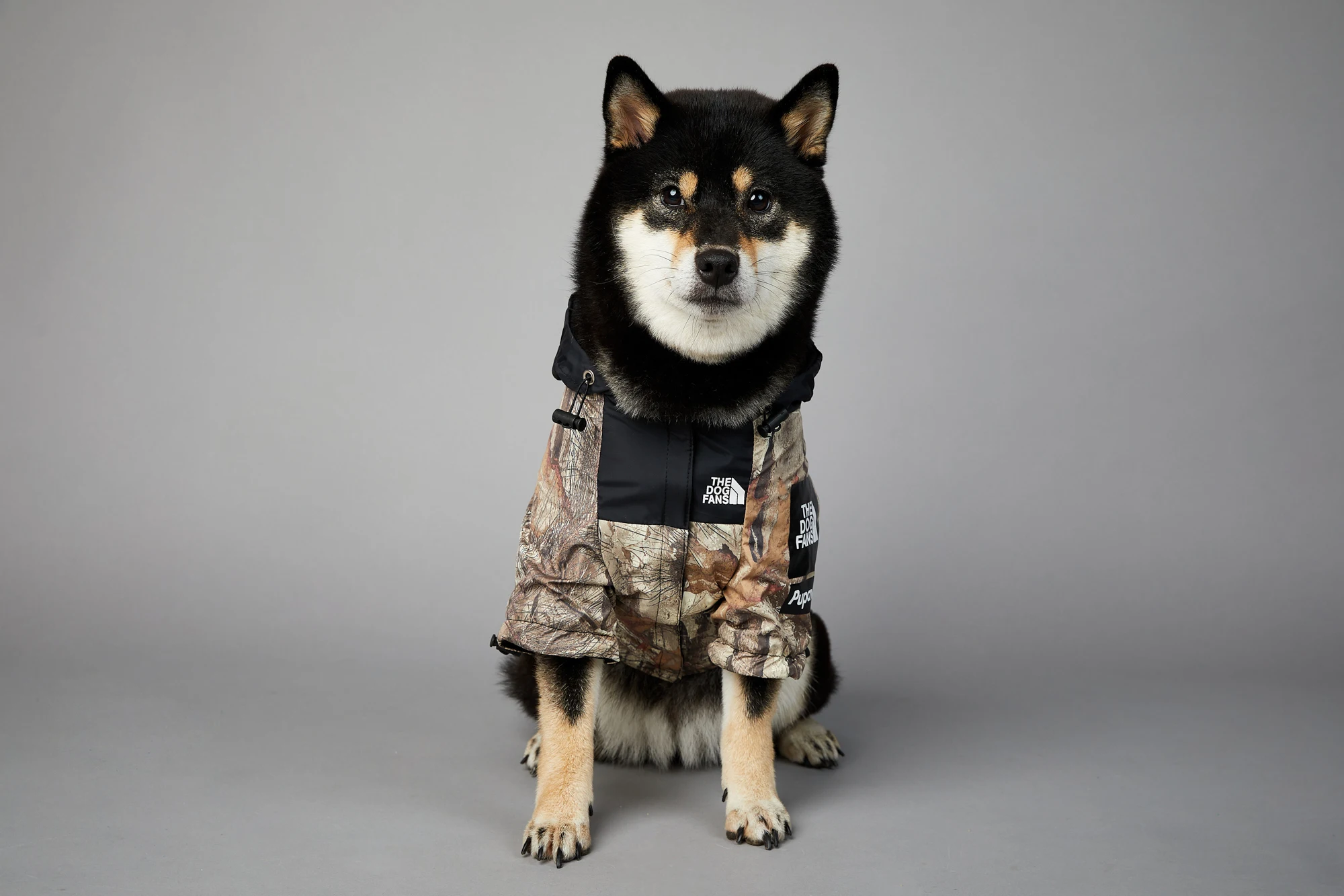 Dogface roupas para animais de estimação moda