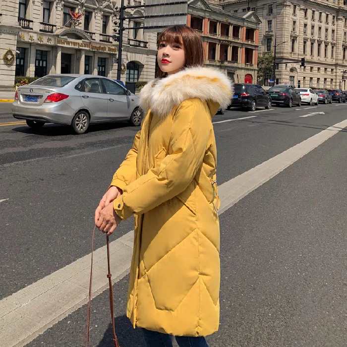 

Photo Shoot 2019 South Korea Dongdaemun Autumn And Winter down Jacket Long Loose-Fit Large Fur Collar Cotton Overcoat Coat AliEx