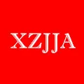 XZJJA DIYlife Store