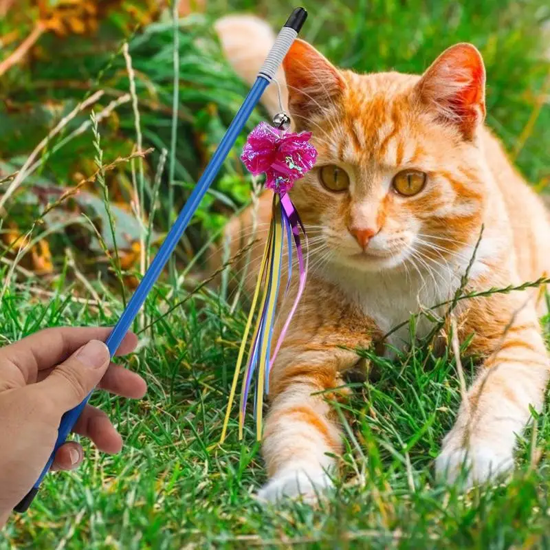Игрушка для кошек, кольцо, бумажный шар, кошачья палочка, тонкое мастерство, долгий срок службы, инвариантная прорезыватель, палочка, котенок, интерактивные дразнящие игрушки дл животных