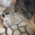 Сад Прогулка Тротуар Плесень DIY Вручную Мощение Цемент Кирпич Камень Дорога Бетонные Формы Путь Производитель Многоразовые DIY Вручную Мощение