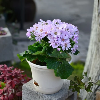 

Split Type Flower Pots High-End Home Gardening Flower Pots Resin Anti-Fading Oxidation