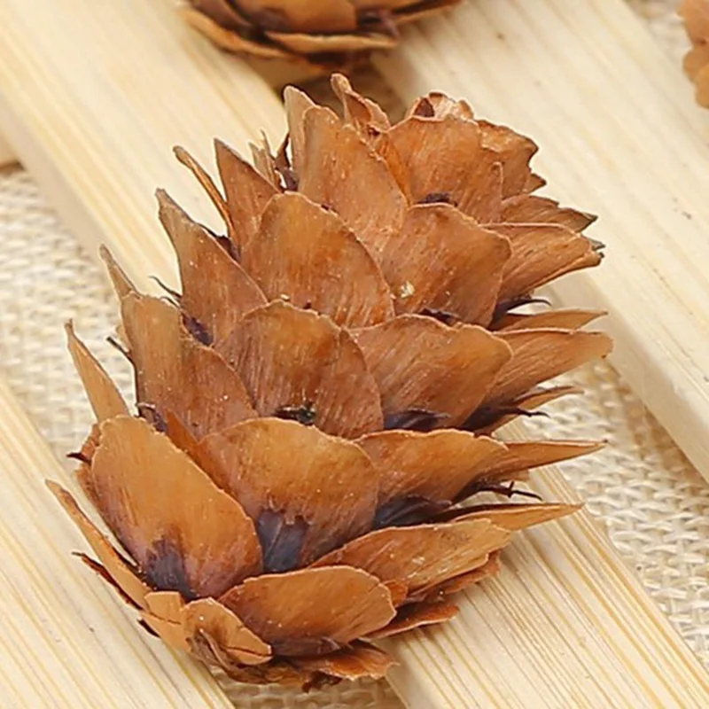 10 шт. мини Pinecone сосновые шишки Pinecone для рождественской елки топперы ваза чаша наполнитель отображает декоративные ремесла домашний декор