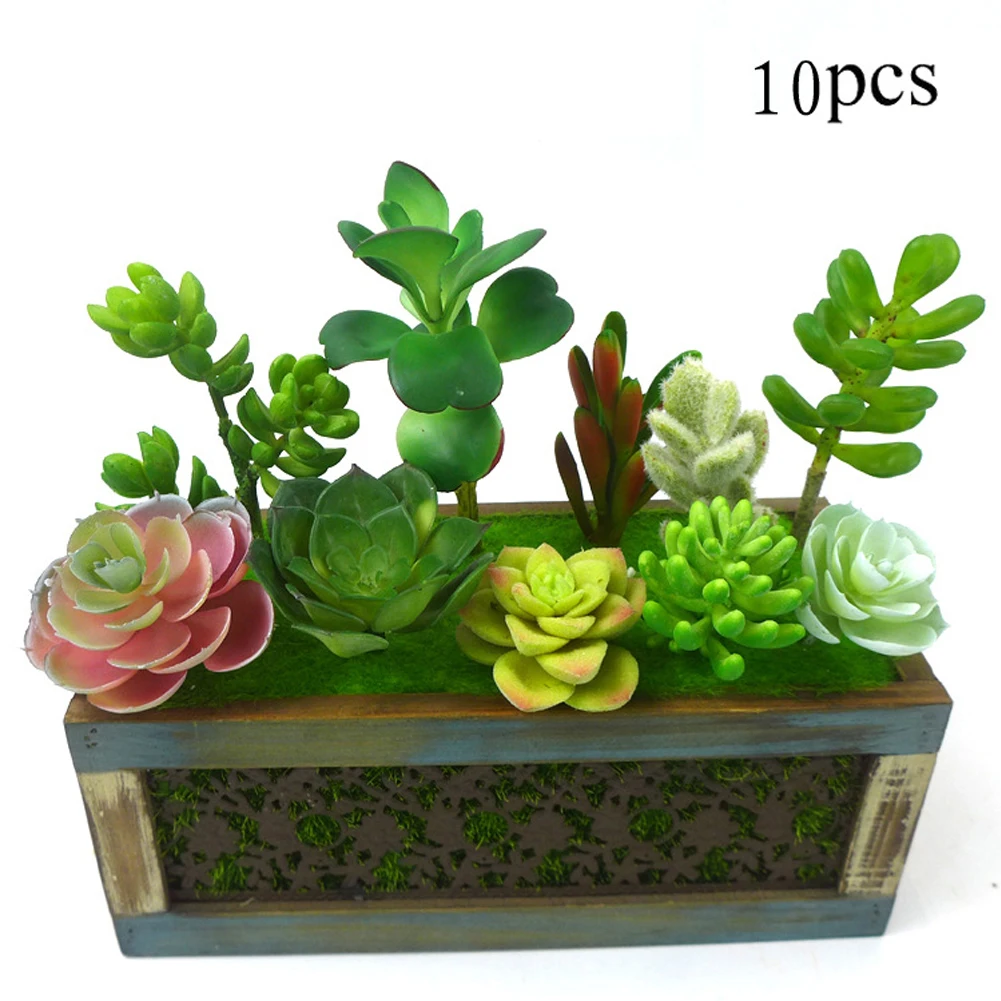 10 шт./компл. Ассорти бонсай для офиса Unpotted DIY Пейзаж сада моделирования суккуленты стеблей ремесла домашнего Поддельные Украшения