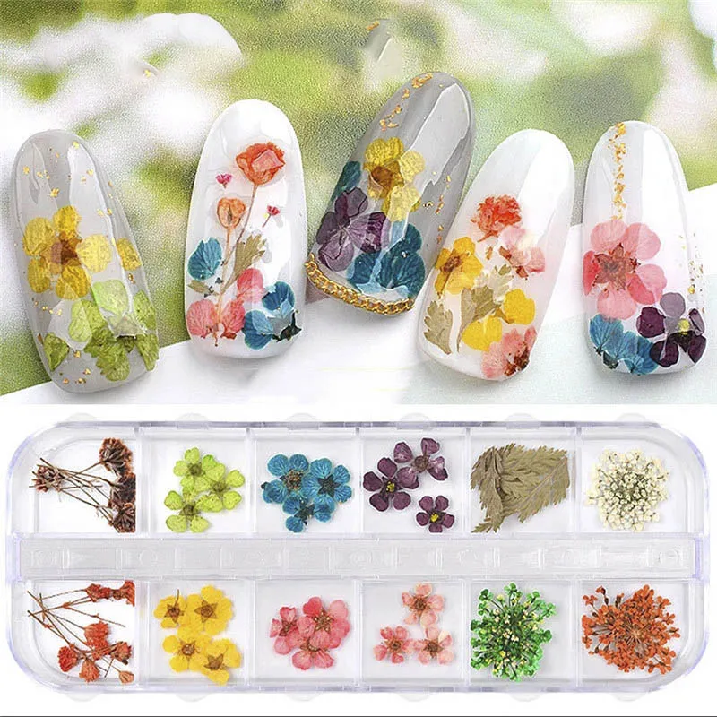 

1Box 3D Beauty Nail Decor Dried Flower Natural Floral Sticker Dry Art Decals Epoxy Mold for DIY Nail Art Filling Jewelry Finding