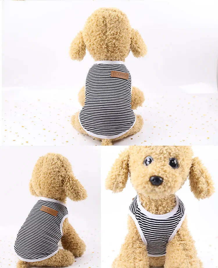 11 - 10165182768_1119372358