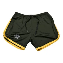 ZFIT новые сетчатые спортивные шорты для бега для мужчин Фитнес Тренировочные мужские шорты s летний спортивный купальник высокое качество сушильные шорты для мужчин