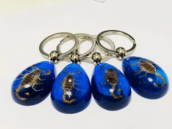 

10 pcs Gold Scorpion Insect Blue Color KeyChain Taxidermy Display