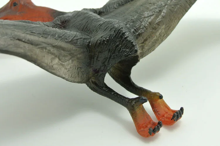 

Model Dinosaur Toy Model Set Pteranodon Solid Plastic Dinosaur Model Tract And Sequence World