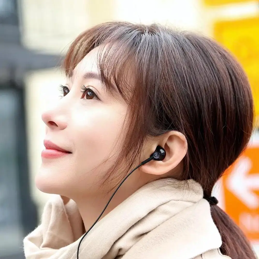 Xiaomi Hybrid DC Earphone Type C Plug Half In Ear USB Wired Control MEMS Microphone Mi Dual Driver Earphone