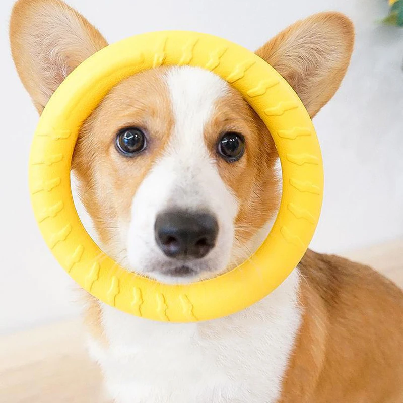 EVA Dog Training Flying Disc Interactive Toy