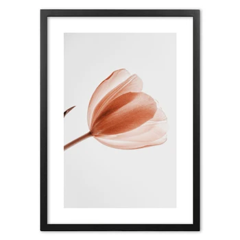 

Red Tulip Plants Photography Art Nordic Posters And Prints Wall Art Paper Painting Wall Pictures For Living Room Home Decor
