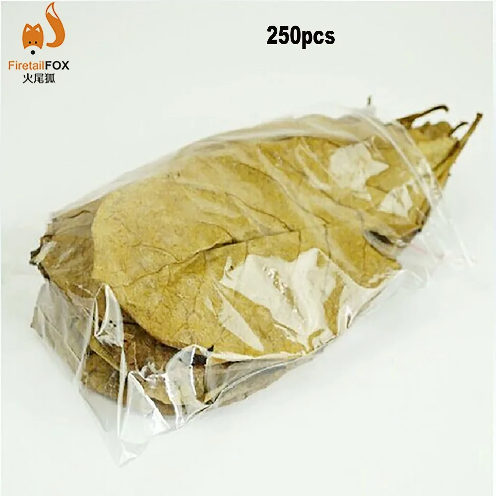 250pcs Nature Terminalia Catappa Foetida Almond Leaves Water Filter Aquarium Fish Tank Breeding