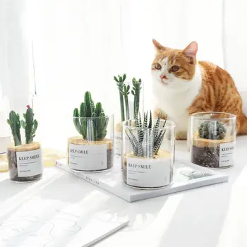 

Glass Small Vase Nordic Jar Modern Design Desk Plant Pot Minimalist Vase Cactus Aesthetic Dekoracje Do Domu Home Decor DE50HP