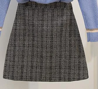 blueskirt Осенние вязаные женские костюмы с v-образным вырезом, толстый свободный свитер+ юбка-карандаш, комплекты для женщин, офисный женский костюм из двух предметов, качественный - Цвет: blueskirt