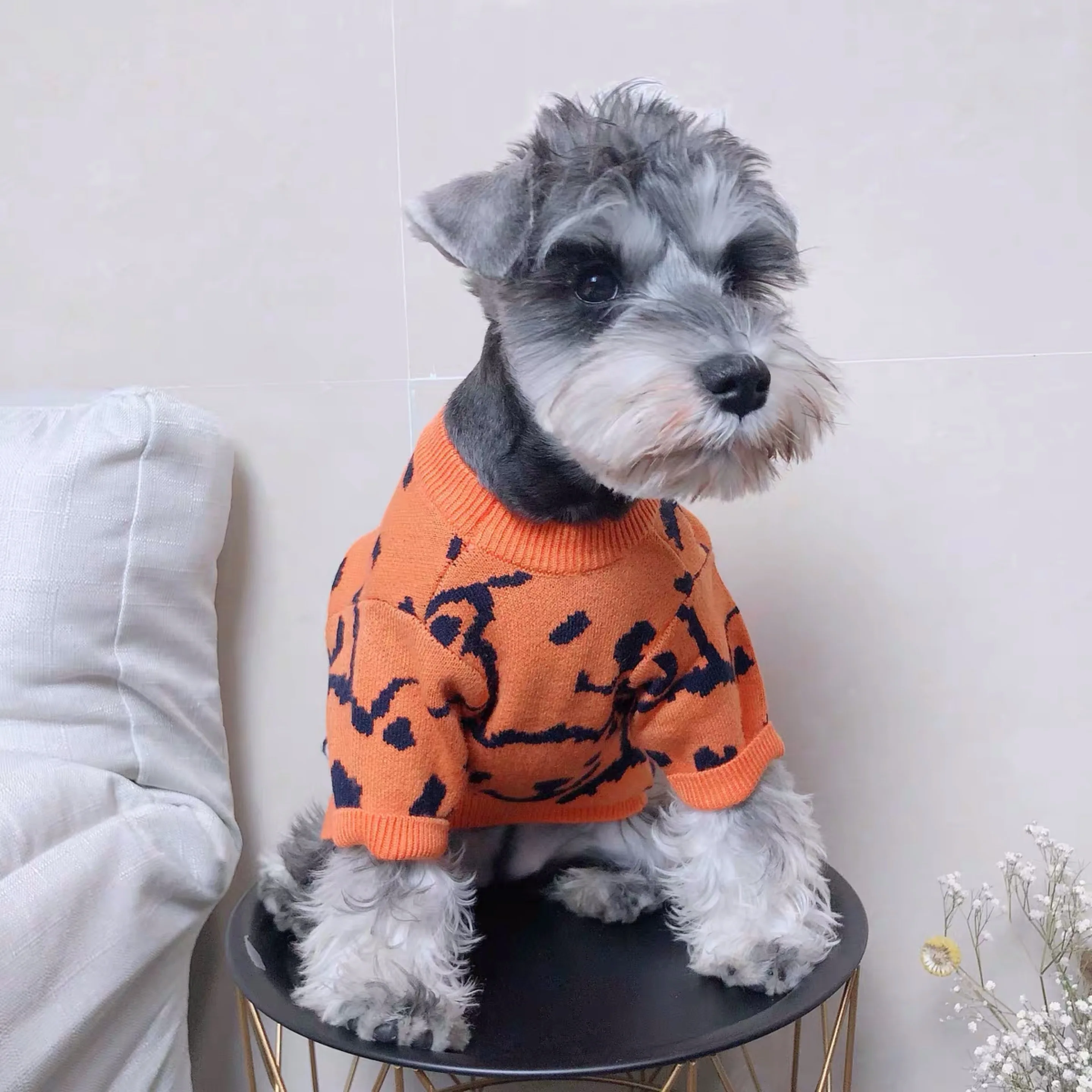 schnauzer sweater