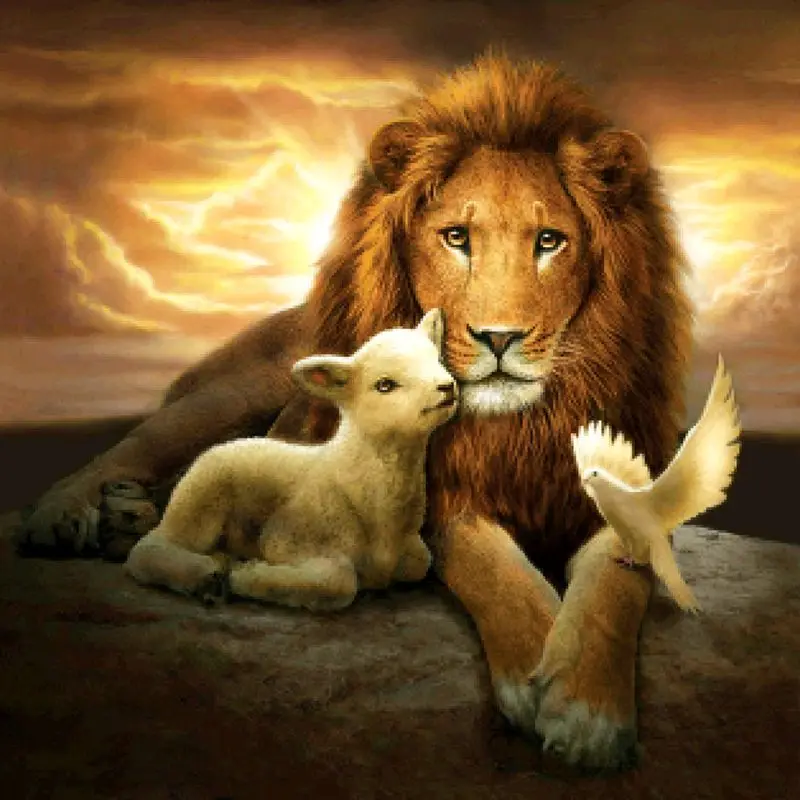 

5D Diamond Painting Kits for Adult Full Drill Paint with Diamonds Pictures Arts Q6PE