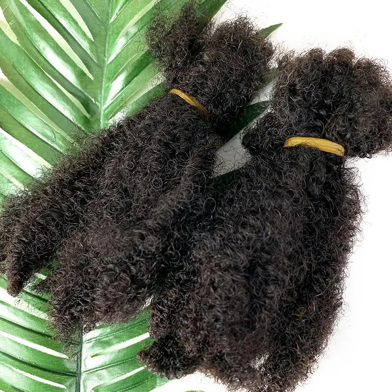 Bulk 3C4A Kinky Curly Hair In Bulk Loc Braids Mongolian Real Human Hair Braiding Dreadloc Afro Virgin Bulks Extension