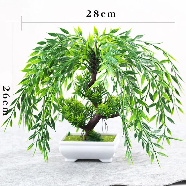 Weeping Willow Bonsai Tree