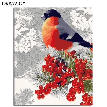 

DRAWJOY Framed Oil Paint DIY Painting By Numbers Coloring By Numbers Bird and Flower Home Decoration 40*50cm