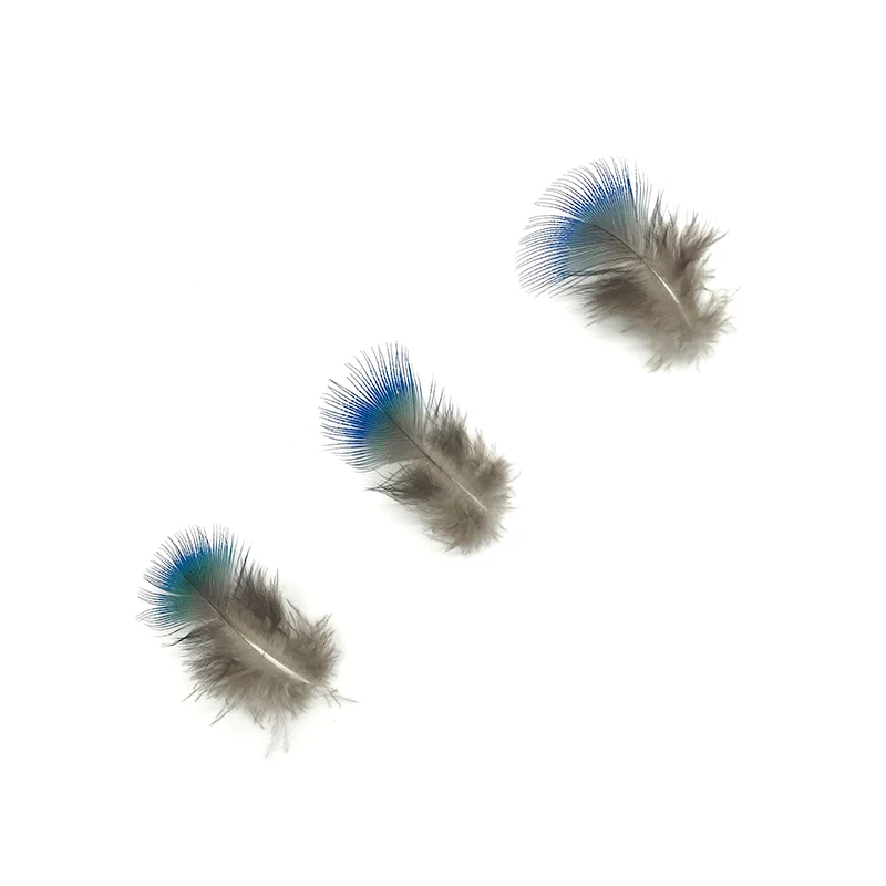 未标题-2