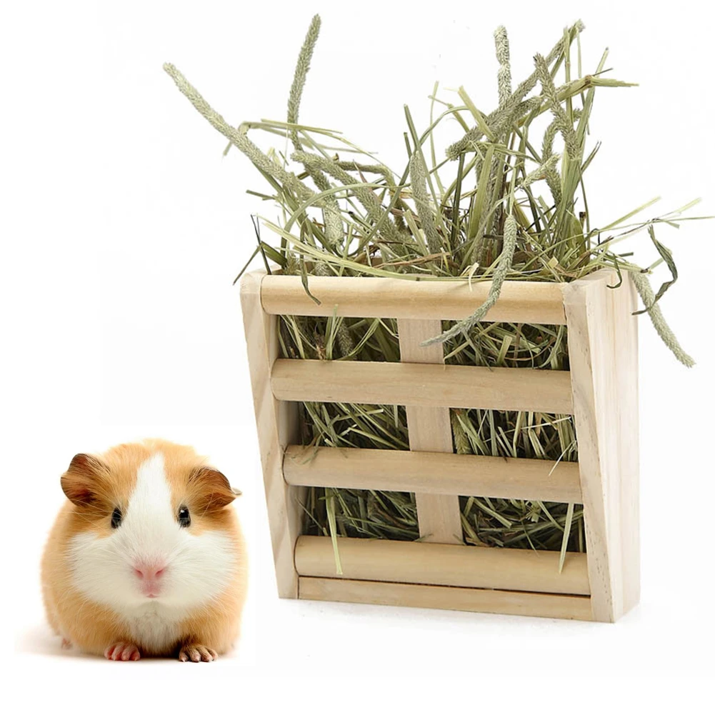 guinea pig hay rack pets at home