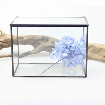 

Black Glass Geometric Terrarium Box Rectangle Flower Pots Succulent Container Decorative Jewelry Necklace Storage Box