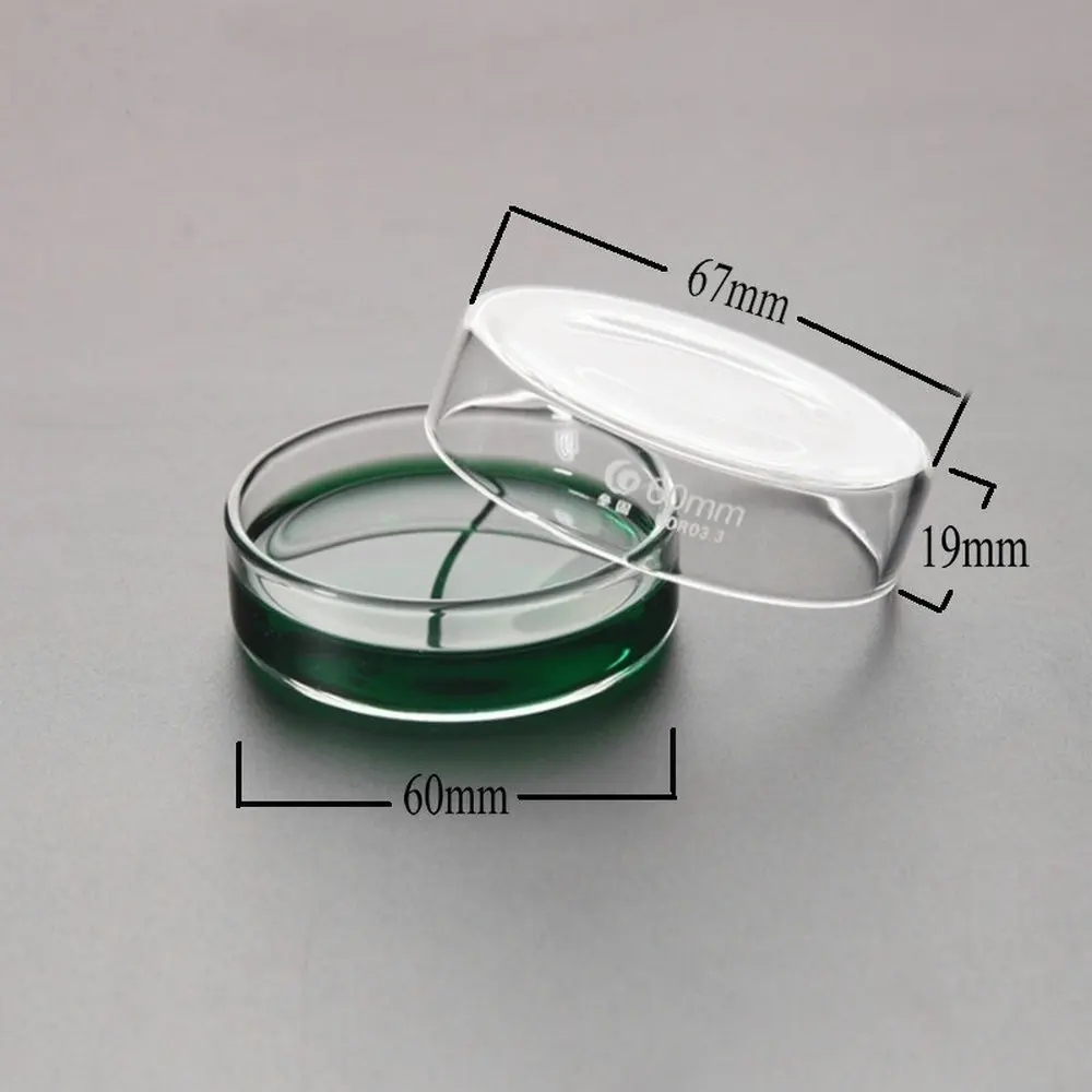 Borosilicate glass Petri culture dish 5pcs 60mm For Chemistry Laboratory Bacterial Yeast