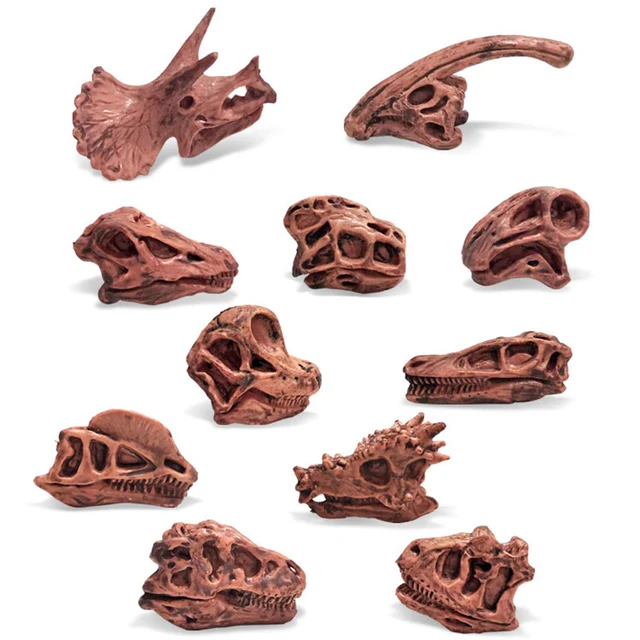 Children Toys Archeology Prehistoric Mammal Dinosaur Skull Fossil Model Set Tyrannosaurus Skull Fossil Science Educational Toys 2