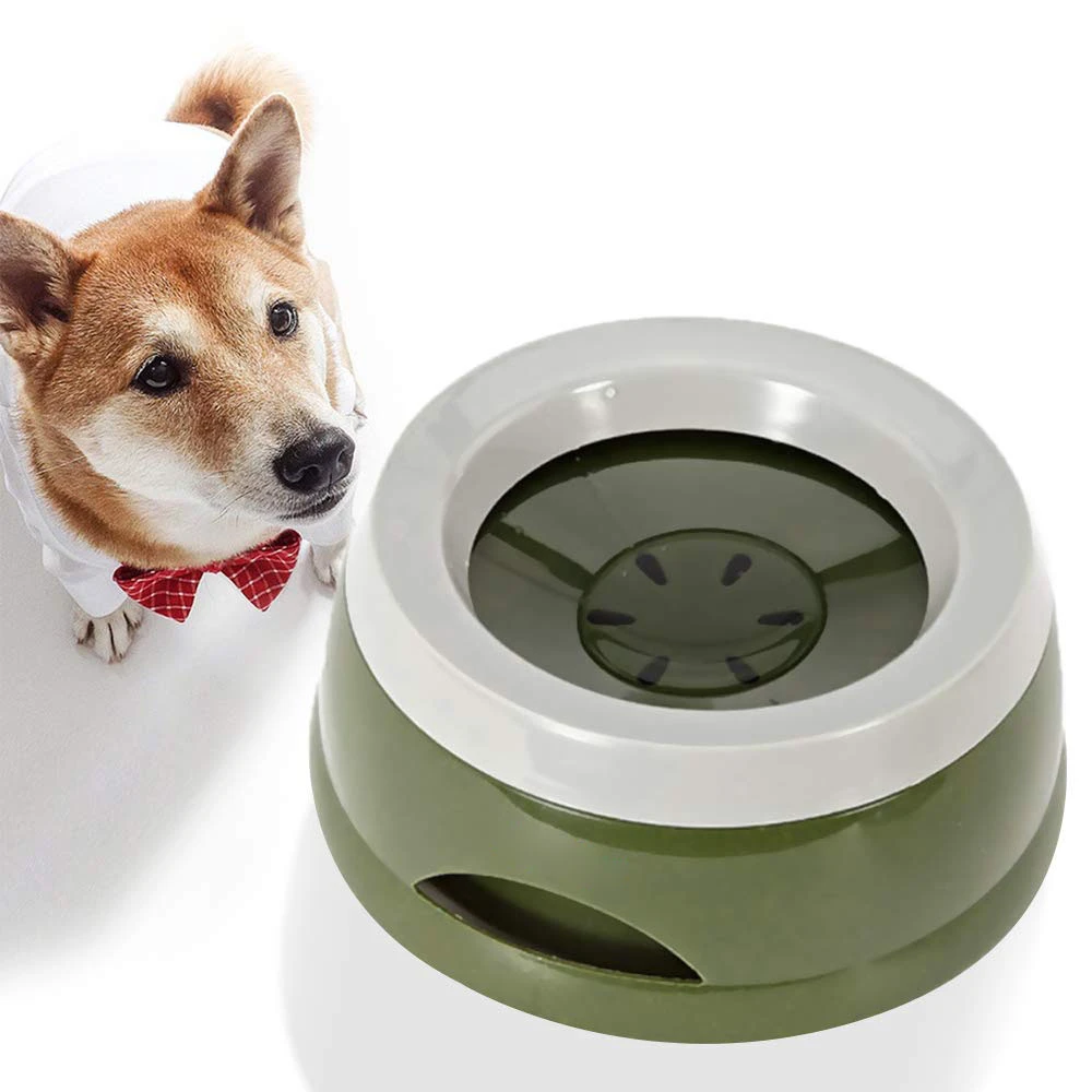 dog choking on water