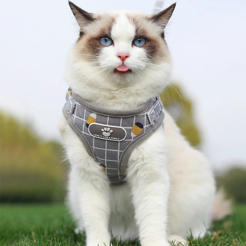 ݻ  Harnesses ⼺  ׼    ֿ     Ϳ Ϸ ޽     Ʈ