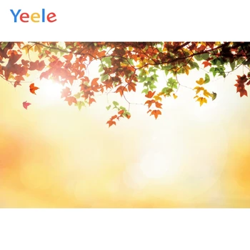 

Custom Vinyl Golden Maple leaf background Backdrop Photography Background For Photo Studio Photophone