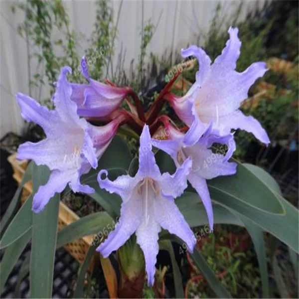 u=3184975686,3130925434&fm=26&gp=0