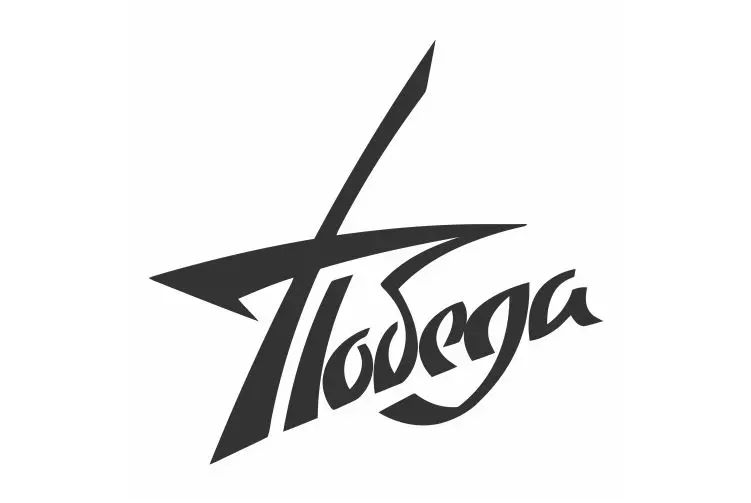 Abstract Unique Victory Text Pattern Car Mural For Car Rear view Mirror Design Hot Selling FA814