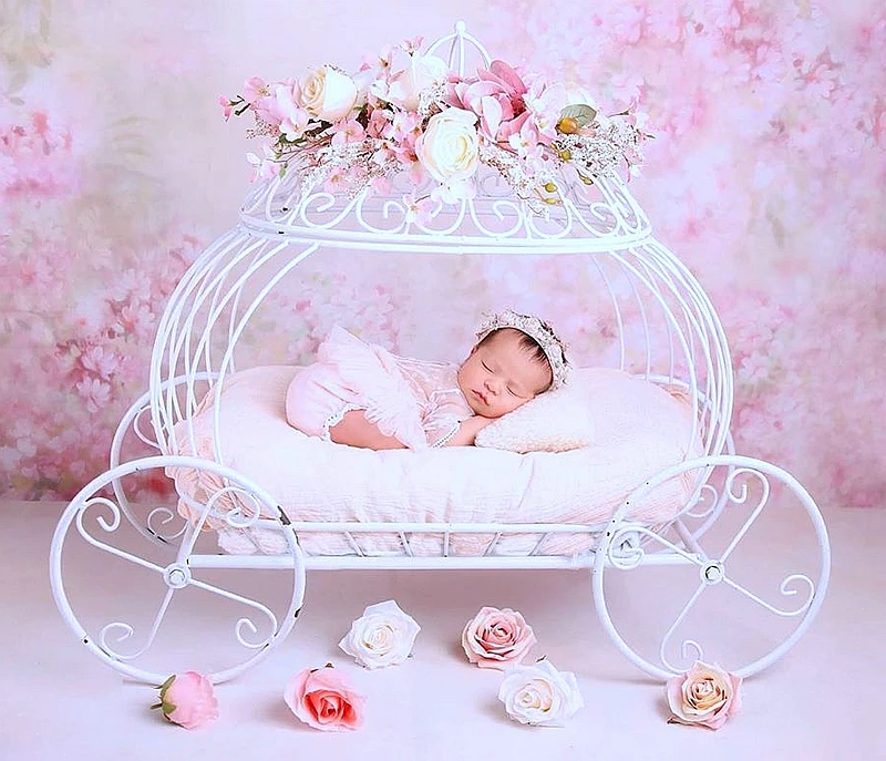 Good Newborn Photography Props Baby Iron Princess Cinderella Carriage Prop Posing Pumpkin Car Poser Fotografia Photo Props