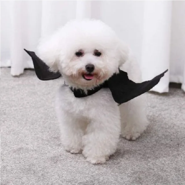 funny pet bat wing cosplay costume prop halloween bat fancy dress for small cat puppy costume.jpg
