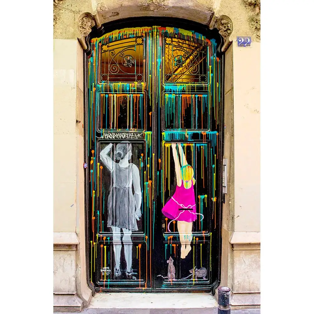 Painting Graffiti Door Photo Backdrop Customized Background for Portrait Children Baby Pets Toy Photobooth Photography Props | Электроника