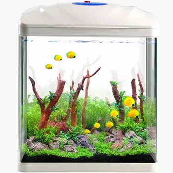 

Children Square Lazy Fish Tank Free Water Filter Aeration Small Glass Fish Tank Ecological Desktop Aquarium