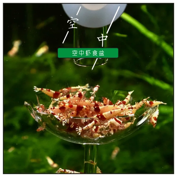 TB2ZGLHhwMPMeJjy1XbXXcwxVXa_!!756162672