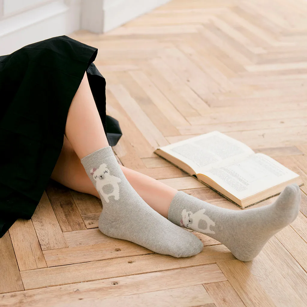 harajuku style Winter 5 Pairs Of Women Middle Tube Cotton Print Socks Cute Bear Style Ladies Warm Socks set of women's socks