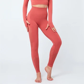 

TWTOPSE Sexy Hollow Out Seamless Sport Fitness Leggings Women Hip Enhancing Squat Proof Athletic Workout Gym Tights Yoga Pants