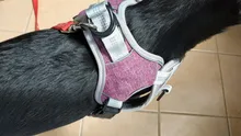 Pet-Vest Harnesses Dog-Supplies Reflective No-Pull Small Walking-Adjustable Large Medium