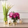 Household Glass Sealed Jars with Cover Transparent Kitchen Storage Tank Moisture-proof Food Storage Tank European Glass Jar 5